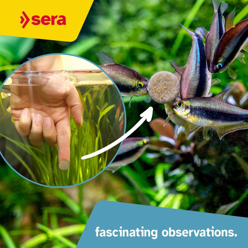 Sera O-Nip Stickies 100 Tabs 2.1 oz | Complete Feed for All Ornamental Fish | Adhesive Tablets Stick to The Aquarium Glass | High Protein | No Dyes & Preservatives | with Bloodworms, Krill & Tubifex - Image 4